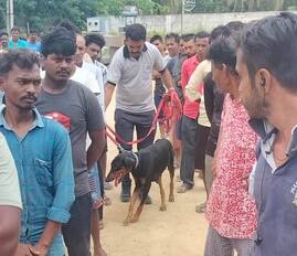 2ಕೆಎಂಎನ್ ಡಿ38ಮನೆ ಕಳ್ಳತನದ ಹಿನ್ನೆಲೆಯಲ್ಲಿ ಶ್ವಾನ ದಳ ತಂಡ ಸ್ಥಳ ಪರಿಶೀಲನೆ ನಡೆಸಿತು. | Kannada Prabha