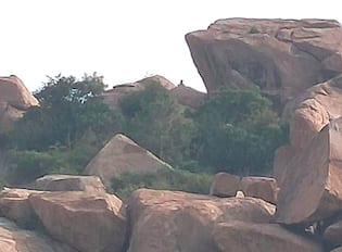  ಫೋಟುಃ5 ಜಿಎನ್ ಜಿ1-ಗಂಗಾವತಿ ಸಮೀಪದ  ಸಿದ್ದಿಕೇರಿ ರಸ್ತೆಯ ವ್ಯಾಪ್ತಿಯಲ್ಲಿರುವ ಬೇಡರ ಕಣ್ಣಪ್ಪ ವೃತ್ತದ  ಮಾರೆಮ್ಮನ ಗುಡಿ ಹತ್ತಿರಬೆಟ್ಟದಲ್ಲಿ ಜೋಡಿ ಚಿರತೆಗಳು ಪ್ರತ್ಯಕ್ಷವಾಗಿವೆ | Kannada Prabha