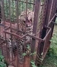 5ಎಸ್‌ಎನ್‌ಡಿ30 | Kannada Prabha