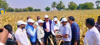 7ಎಚ್‌ಪಿಟಿ5- ಹೊಸಪೇಟೆಯ ನಂದಿಬಂಡಿ ಗ್ರಾಮದಲ್ಲಿ ಪರಿಶೀಲಿಸಿದ ಕೇಂದ್ರ ಬರ ಅಧ್ಯಯನ ತಂಡ. | Kannada Prabha