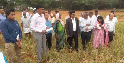 ಕ್ಯಾಪ್ಷನಃ7ಕೆಡಿವಿಜಿ31ಃ  ಬರ ಪರಿಸ್ಥಿತಿ ಪರಿಶೀಲಿಸಲು ಕೇಂದ್ರ ಬರ ಅಧ್ಯಯನ ತಂಡ ಶನಿವಾರ ದಾವಣಗೆರೆ ಜಿಲ್ಲೆಯ ಜಗಳೂರು ತಾಲ್ಲೂಕಿನ ದೊಣ್ಣೆಹಳ್ಳಿಗೆ ಭೇಟಿ ನೀಡಿತು. ಕೇಂದ್ರ ಜಲಶಕ್ತಿ ಆಯೋಗದ ನಿರ್ದೇಶಕ ವಿ.ಅಶೋಕ್ ಕುಮಾರ್, ಡಿಸಿ ಡಾ.ಎಂ.ವಿ.ವೆಂಕಟೇಶ, ಜಿಪಂ ಸಿಇಓ ಸುರೇಶ ಇಟ್ನಾಳ್‌ ಇತರರು ಇದ್ದರು.   | Kannada Prabha