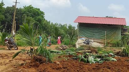 ತಾಲೂಕಿನ ದೊಡ್ನಳ್ಳಿಯಲ್ಲಿ ರೈತನ ಅತಿಕ್ರಮಣ ತೆರವುಗೊಳಿಸಲು ಮುಂದಾದ ಕಂದಾಯ ಇಲಾಖೆ.  ಅತಿಕ್ರಮಣ  | Kannada Prabha