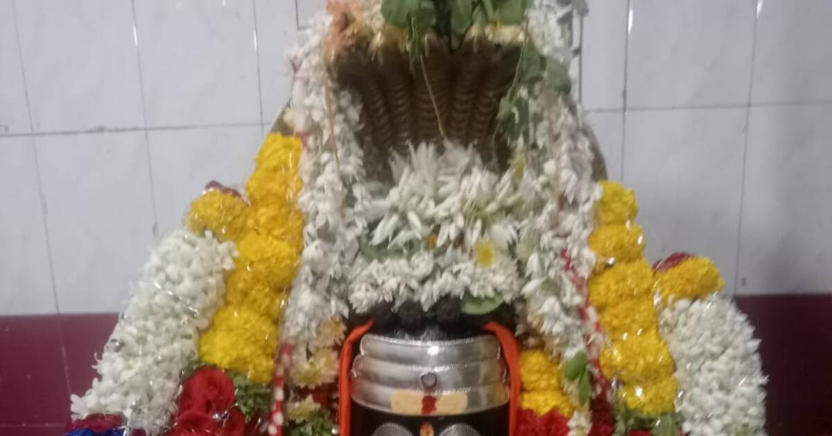 a grand markandeshwar rathotsava at shivpur