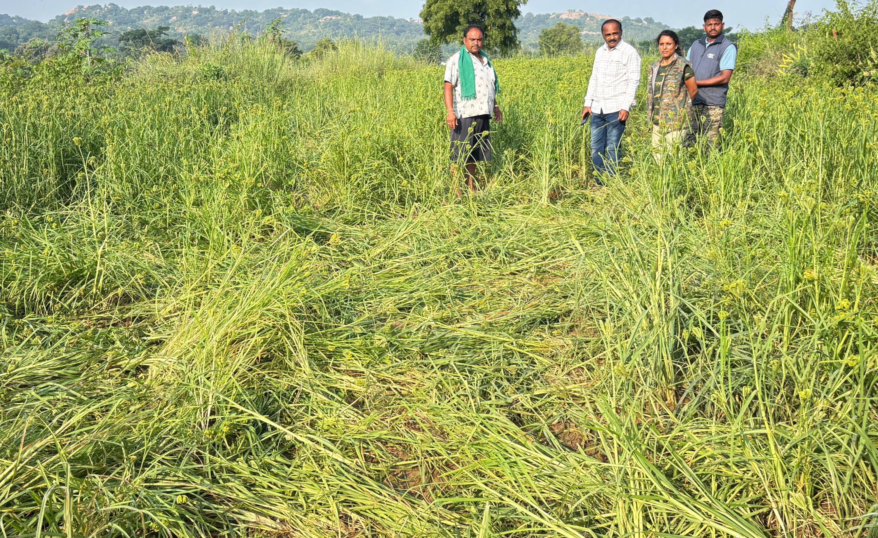 ಕೆ ಕೆ ಪಿ ಸುದ್ದಿ 01: | Kannada Prabha